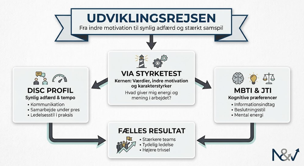 VIA Styrketest